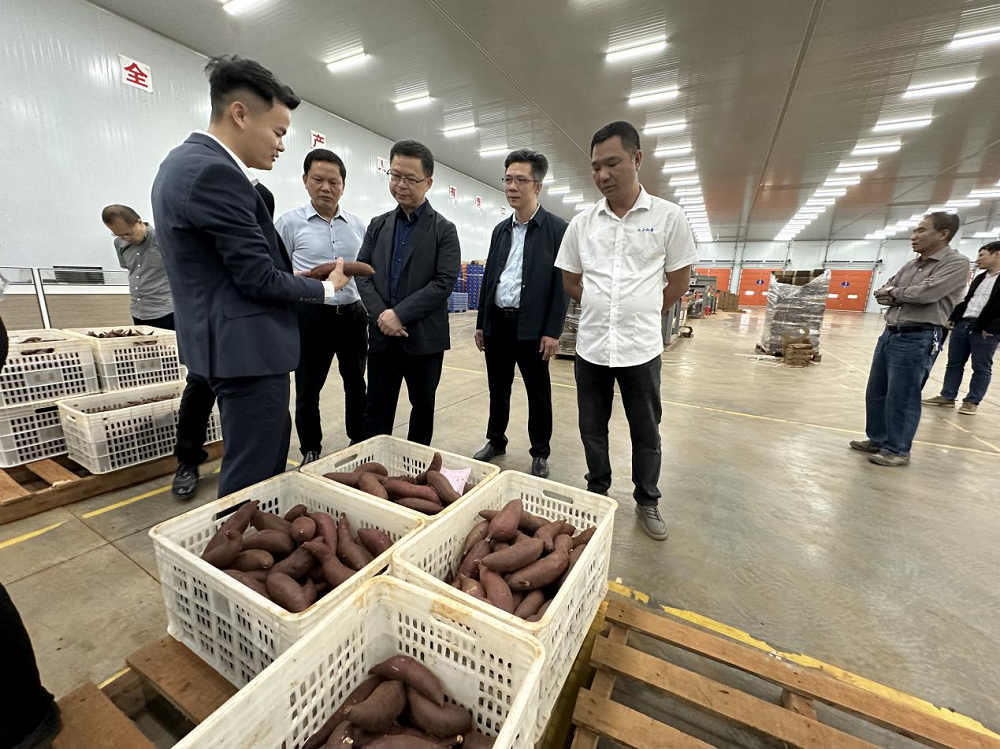 图片1.png 图片1.png