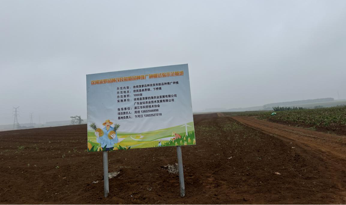 图片13.png 图片13.png