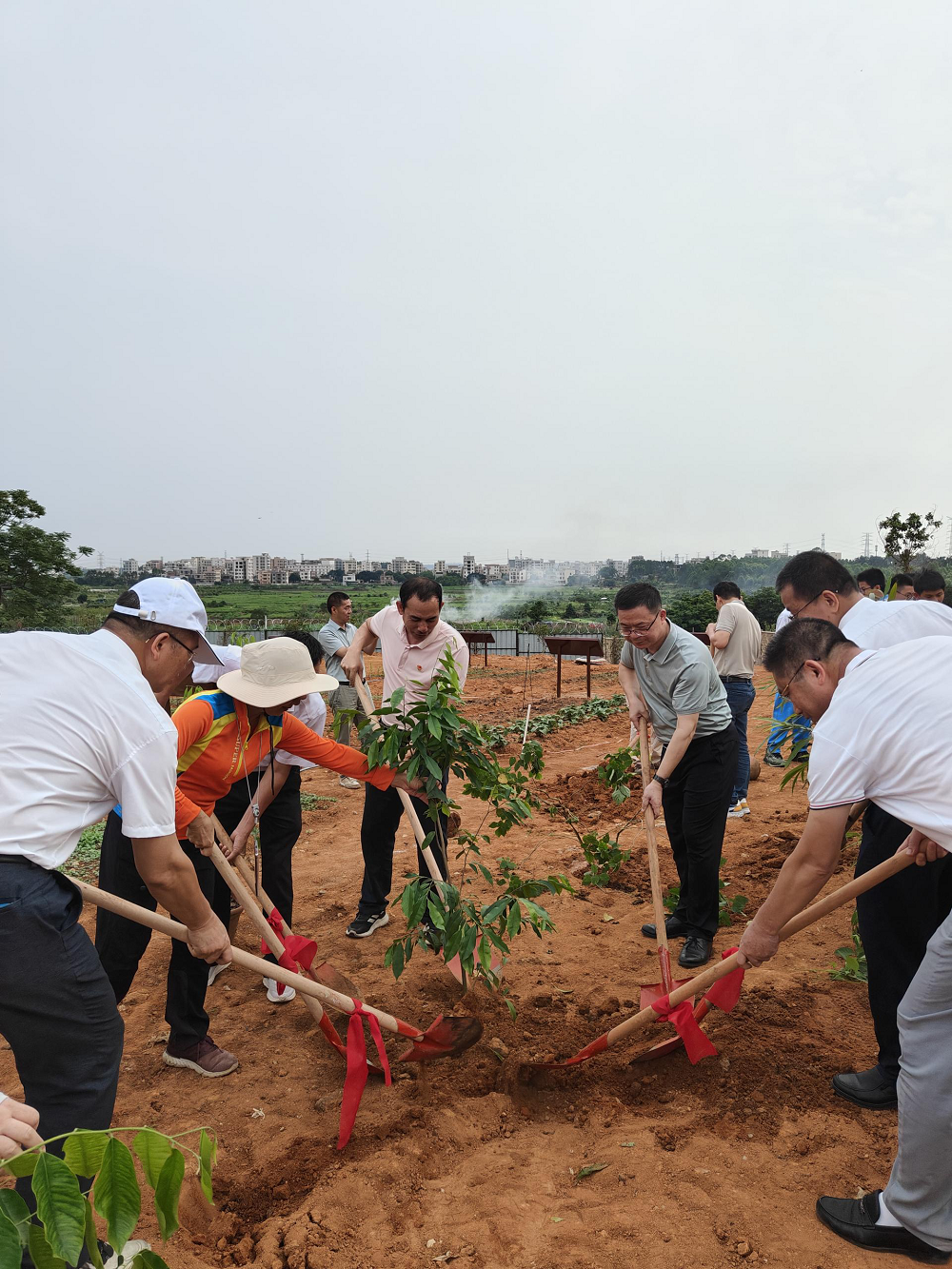 图片2.png 图片2.png