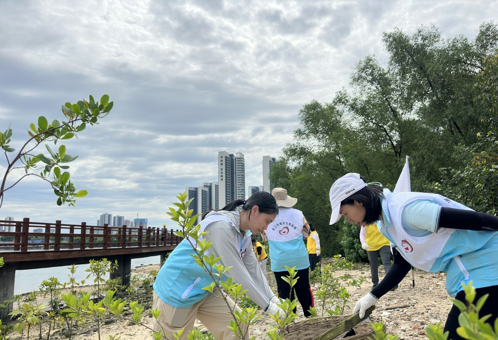 图片10.png 图片10.png