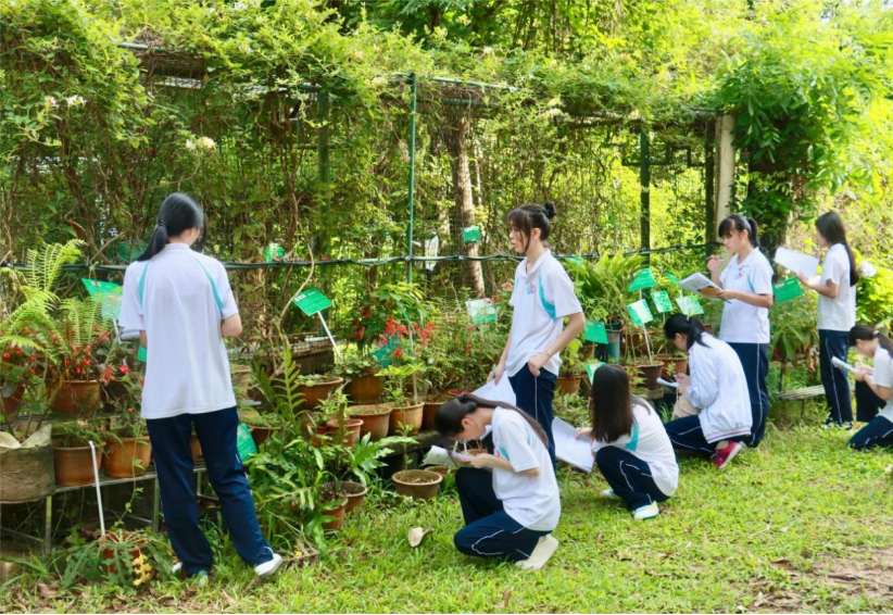 图片4.png 图片4.png