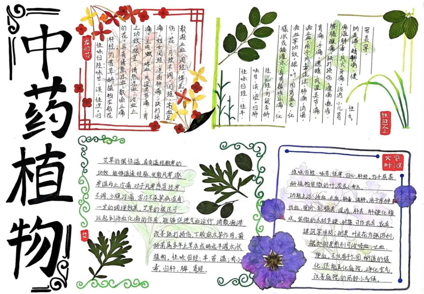 图片7.png 图片7.png