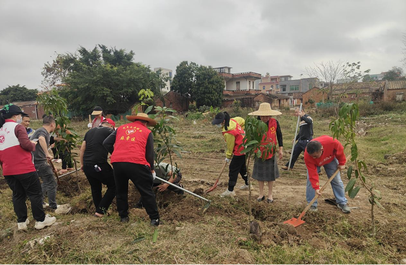 图片6.png 图片6.png