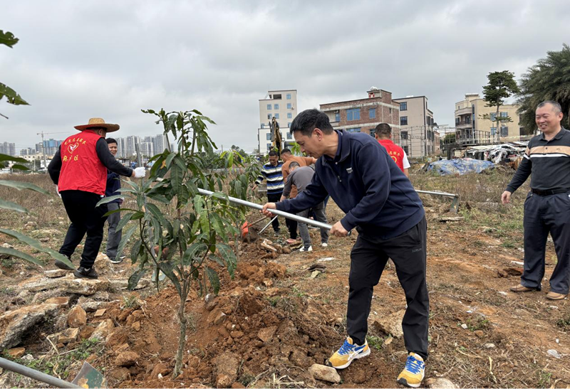 图片7.png 图片7.png