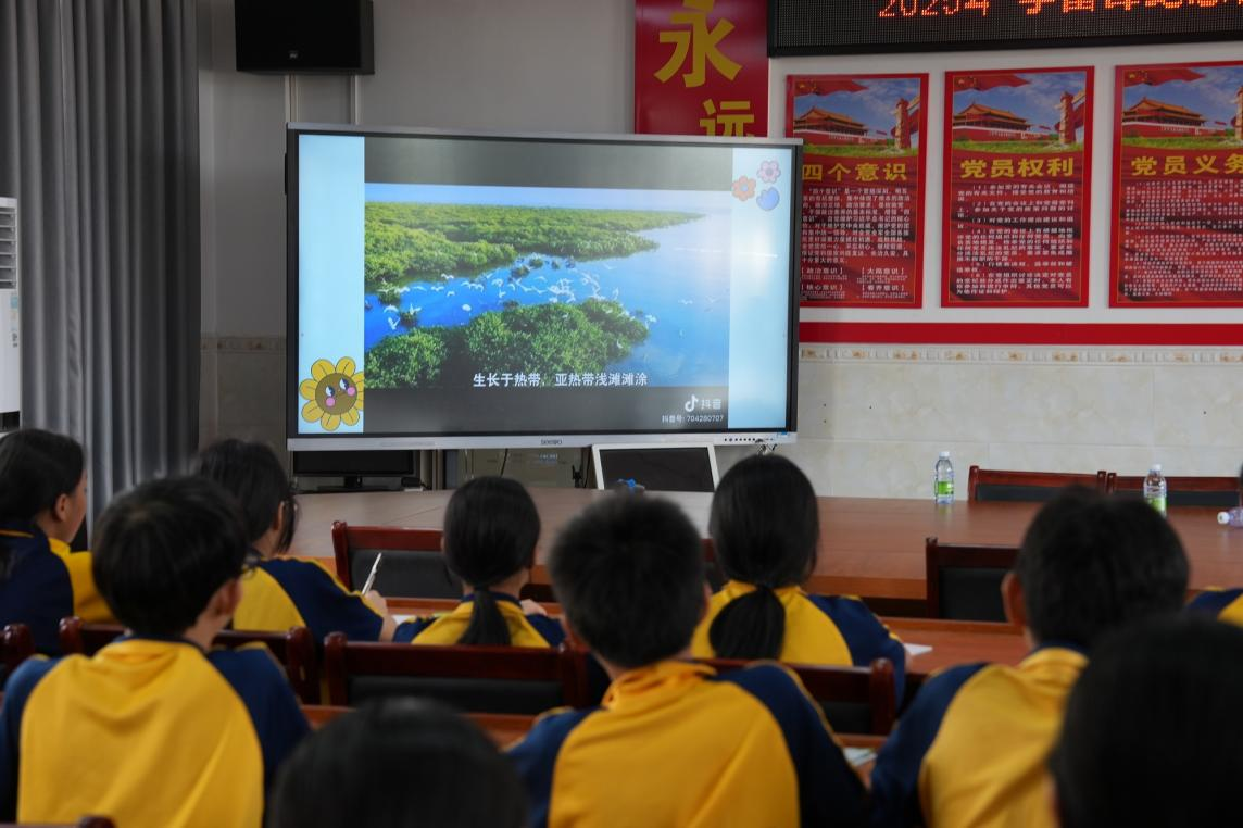 图片3.png 图片3.png