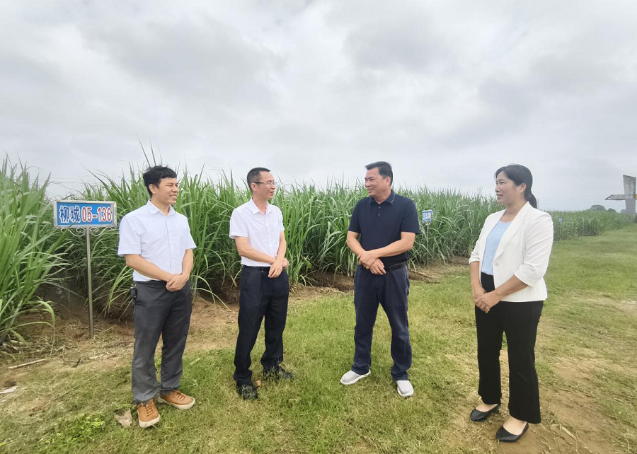 图片19.png 图片19.png