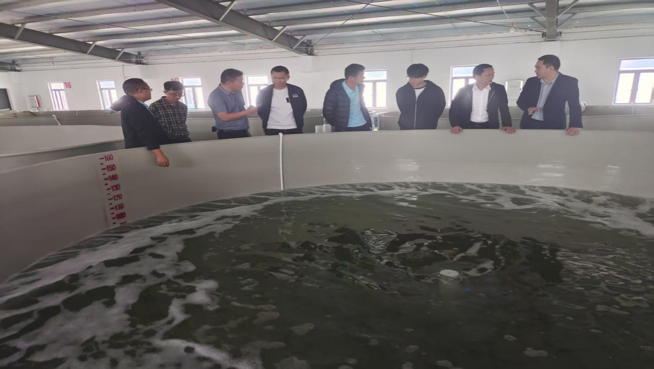 图片14.png 图片14.png